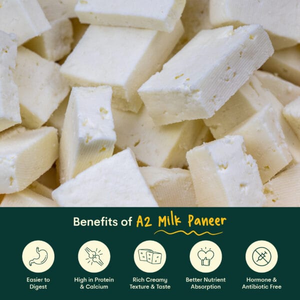 Premium Paneer 2 01 Palvin Paneer Whatsapp Catalogue 02