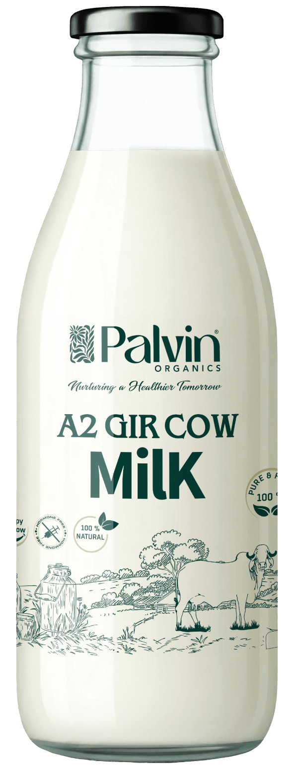 Milk Bottle Milk Bottle